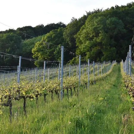 לינה וארוחת בוקר Wijndomein Zwaeneberg