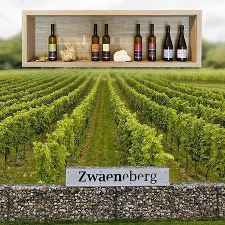 Wijndomein Zwaeneberg 4* فورين
