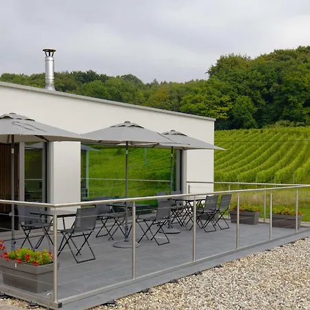 לינה וארוחת בוקר Wijndomein Zwaeneberg