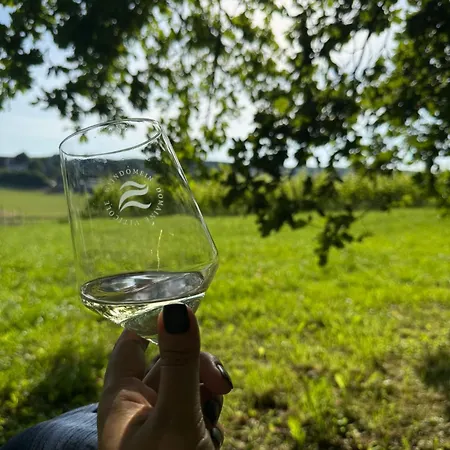 Wijndomein Zwaeneberg 4* Voeren