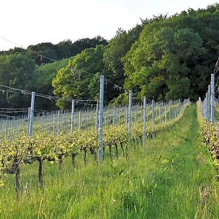 Bed & Breakfast Wijndomein Zwaeneberg