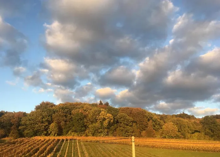 Bed & Breakfast Wijndomein Zwaeneberg